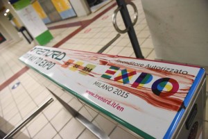 Terno expo